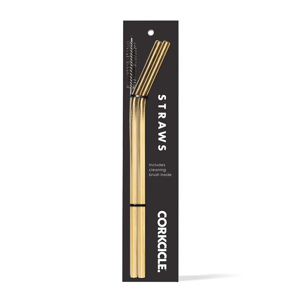 Tumbler Straw 2-Pack