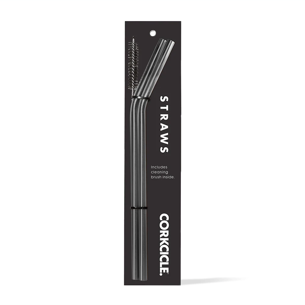 Tumbler Straw 2-Pack