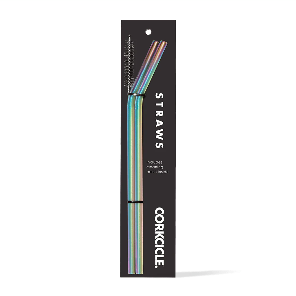 Tumbler Straw 2-Pack