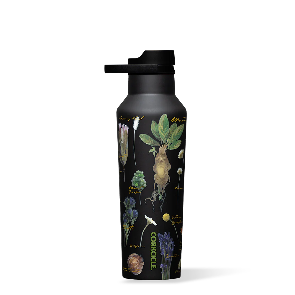 Harry Potter Sport Canteen