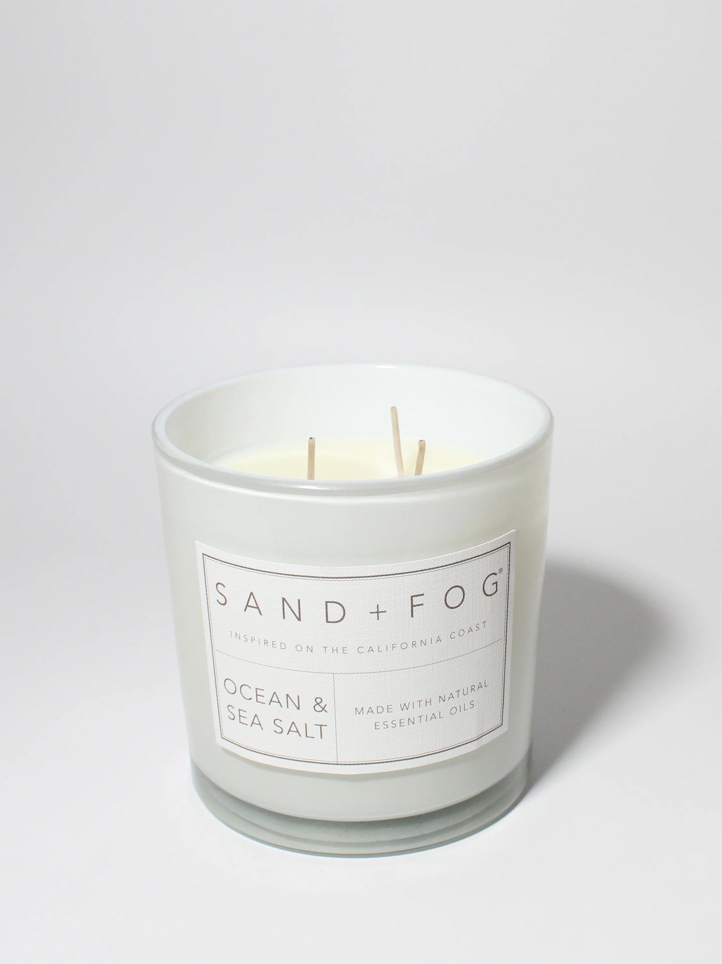 Ocean & Sea Salt 21 oz scented candle