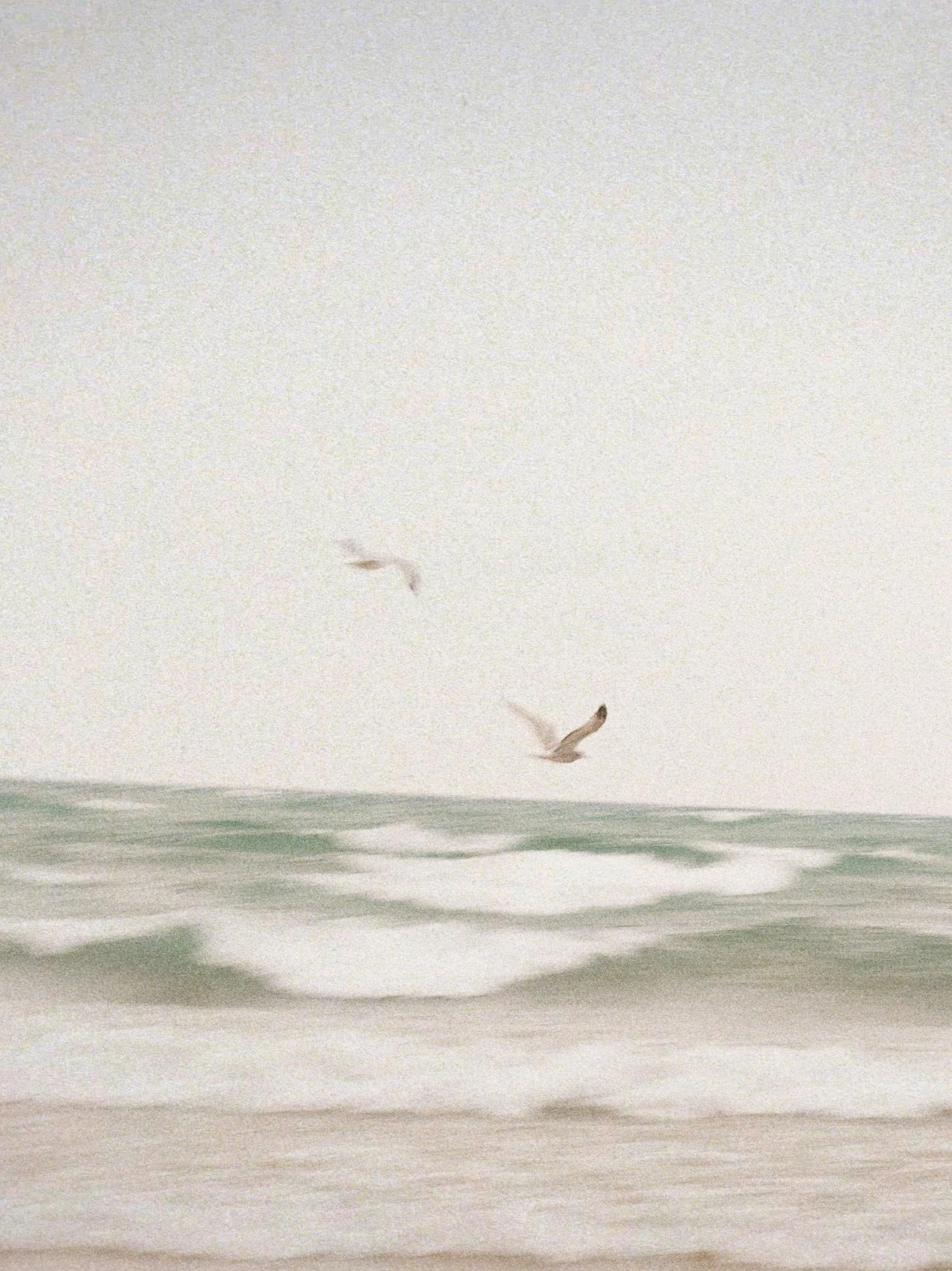 Corona Del Mar 21 oz scented candle