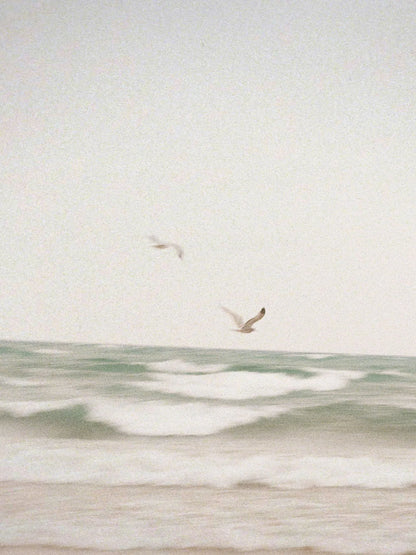 Clean Waves 12 oz scented candle