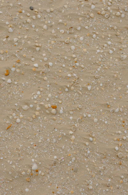 Ocean & Sea Salt 21 oz scented candle