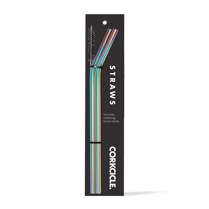 Tumbler Straw 2-Pack