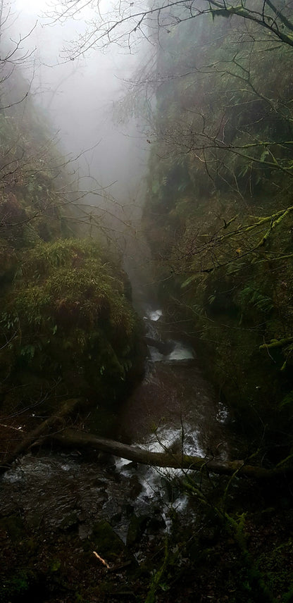 Teakwood 50ml Whiskey and Leather Perfume Oil Dropper