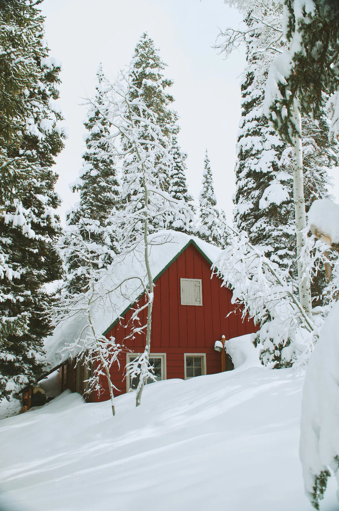 Winter White 12oz scented candle