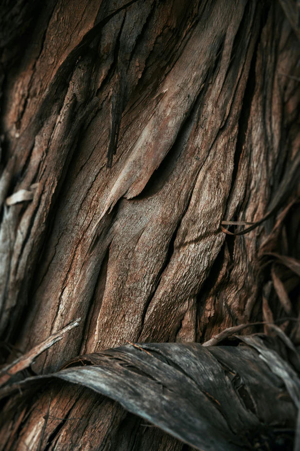 Vanilla Sandalwood 100 ml Room Spray